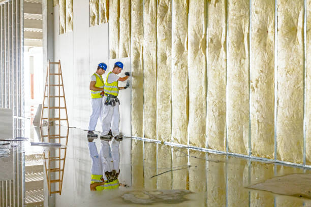 Best Insulation Installation Services in Rutherford College, NC